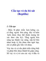Tài liệu Cấu tạo vỏ da bò sát (Reptilia) docx