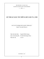 Kỹ thuật giấu tin trên k bit LSB của ảnh 