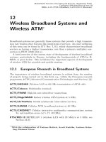 Tài liệu Điện thoại di động mạng lưới Radio P12 ppt