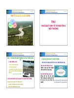 BÀI GIẢNG - KINH TẾ MÔI TRƯỜNG TỪ XA