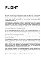 Tài liệu Flight (Tài liệu học tiếng anh) doc