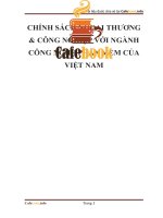 CHÍNH SÁCH NGOẠI THƯƠNG & CÔNG NGHIỆP với NGÀNH CÔNG NGHỆ PHẦN mềm của VIỆT NAM 