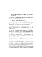 Tài liệu Color Theory And Modeling For Computer Graphics P2 docx