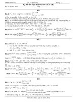 Bài giảng ĐỀ ÔN TẬP GIỮA HK2 lớp 11 năm học 2010-2011