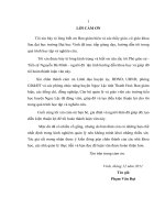 Một số giải pháp nâng cao chất lượng đội ngũ cán bộ quản lý ở các trường tiểu học huyện ngọc lặc tỉnh thanh hóa luận văn thạc sĩ khoa học giáo dục 