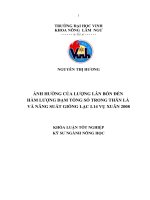 Ảnh hưởng của lượng lân bón đến hàm lượng đạm tổng số trong thân lá và năng suất giống lạc l14 vụ xuân 2008 