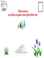Gián án Bài 4: Trường Hợp bằng Nhau thứ hai của hai tam giác