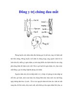 Tài liệu Đông y trị chứng đau mắt docx