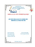 Giải pháp nâng cao giá trị thương hiệu mobifone tại thành phố vinh 