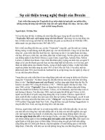 Tài liệu Sự cải thiện trong nghệ thuật của Braxin doc