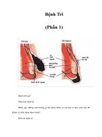 Tài liệu Bệnh Trĩ (Phần 1) doc