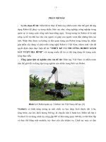 THIẾT KẾ VÀ THI CÔNG ROBOT GIÁM SÁT VƯỢT ĐỊA HÌNH