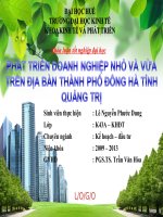 Slide PHÁT TRIỂN DOANH NGHIỆP NHỎ và vừa TRÊN địa bàn THÀNH PHỐ ĐÔNG hà TỈNH QUẢNG TRỊ 