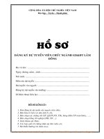 Gián án MẪU HỒ SƠ XÉT TUYỂN VIÊN CHỨC