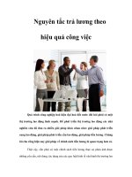 Tài liệu Trả lương theo hiệu quả công việc pdf