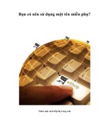 Tài liệu Bạn có nên sử dụng một tên miền phụ? docx