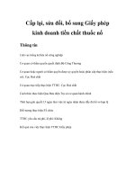 Tài liệu Cấp lại, sửa đổi, bổ sung Giấy phép kinh doanh tiền chất thuốc nổ pdf