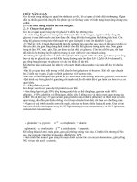 Tài liệu CHỨC NĂNG GAN