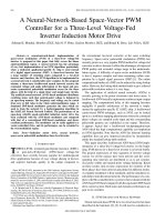 Tài liệu A neural-network-based space-vector PWM controller for a three-level voltage-fed inverter induction motor drive doc