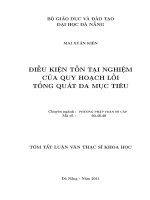 Điều kiện tồn tại của quy hoạch lồi tổng quát đa mục tiêu 