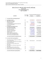 Tài liệu CTy Thủy Sản An Giang - Chuyển lưu tiền tệ quý 4 năm 2008 docx