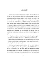 Tiền lương và các khoản phải chi trả cho người lao động tại công ty cổ phân HSG Việt Nam