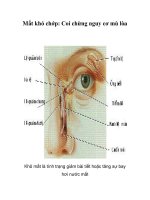Tài liệu Mắt khó chớp: Coi chừng nguy cơ mù lòa docx