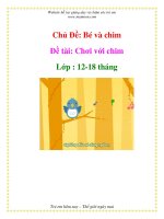 Tài liệu Chủ Đề: Bé và chim - Đề tài: Chơi với chim - Lớp : 12-18 tháng ppt