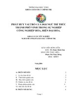 Phát huy vai trò của đội ngũ trí thức thành phố vinh trong sự nghiệp công nghiệp hoá, hiện đại hoá 