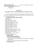 Gián án báo cáo tháng 1