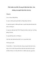 Tài liệu Phê chuẩn sửa đổi, bổ sung tài liệu khai thác , bảo dưỡng của người khai thác tàu bay pptx