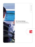 Tài liệu Intelligent IP Network Value-Added Service ppt