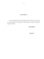 Góp phần phát triển năng lực toán học hóa tình huống thực tiễn cho học sinh trung học phổ thông qua dạy học đại số và giải tích 