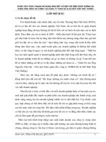 Phân tích thực trạng sử dụng đòn bẩy và một số biện pháp nhằm cải thiện tình hình tài chính của công ty TNHH SX & KD mút xốp việt thắng 