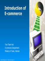 Tài liệu Introduction of E-commerce - Presentation doc
