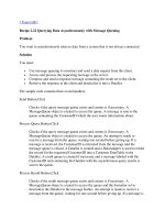 Tài liệu Querying Data Asynchronously with Message Queuing docx