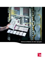 Tài liệu Sistema de módulos de valor agregado Índice pdf