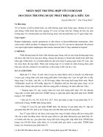 Tài liệu Nhân một trường hợp vỡ cơ hoành pdf