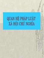 Quan hệ pháp luật xã hội chủ nghĩa