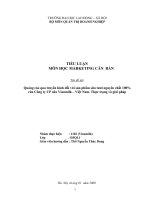 Tài liệu tieu luan marketing doc