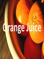 Tài liệu orange juice docx