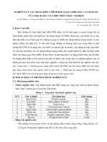 NGHIÊN cứu tác DỤNG điều CHỈNH rối LOẠN LIPID máu và GIẢM xơ vữa MẠCH máu của BBT TRÊN THỰC NGHIỆM 