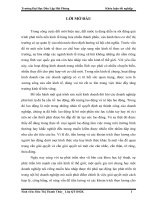 Hoàn thiện tổ chức công tác kế toán tiền lương và các khoản trích theo lương tại công ty cổ phần xây dựng thủy lợi hải phòng 