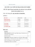 Lập kế hoạch marketing cho một đơn vị sản xuất kinh doanh nhóm nghành cao su