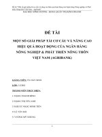 Một số giải pháp tái cơ cấu và nâng cao hiệu quả hoạt động của ngân hàng nông nghiệp và phát triển nông thôn việt nam   agribank 