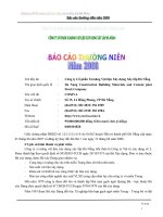 Tài liệu Báo cáo thường niên năm 2008 pdf