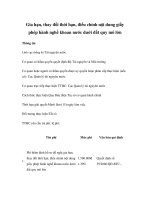 Tài liệu Gia hạn, thay đổi thời hạn, điều chỉnh nội dung giấy phép hành nghề khoan nước dưới đất quy mô lớn pdf