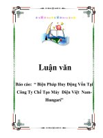 Tài liệu Báo cáo: “ Biện Pháp Huy Động Vốn Tại Công Ty Chế Tạo Máy Điện Việt Nam-Hungari” doc