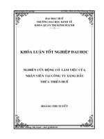 Nghiên cứu về động cơ làm việc của nhân viên tại công ty xăng dầu thừa thiên huế 