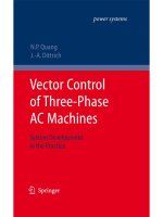 Vector control of three phase AC machines - N.P.Quang